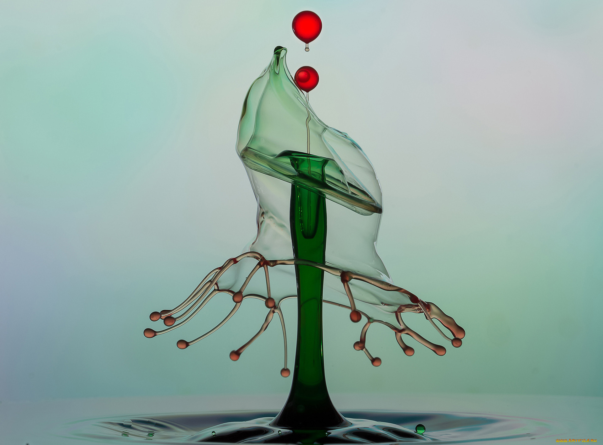 , ,  ,  , , , , , , 